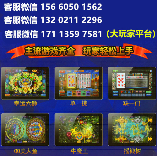 2.星力九代一个平台多少钱?